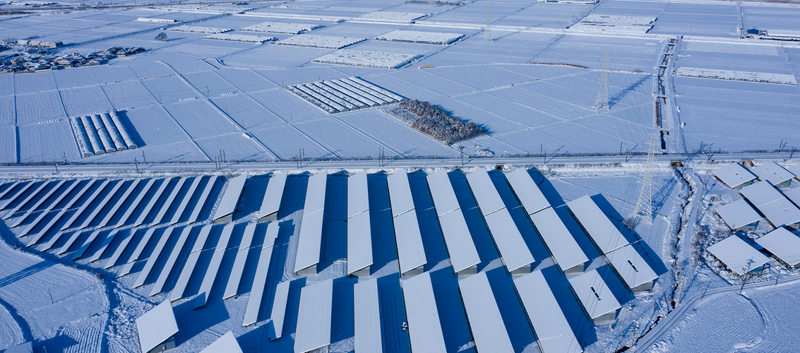 Why Solarise Inverter?